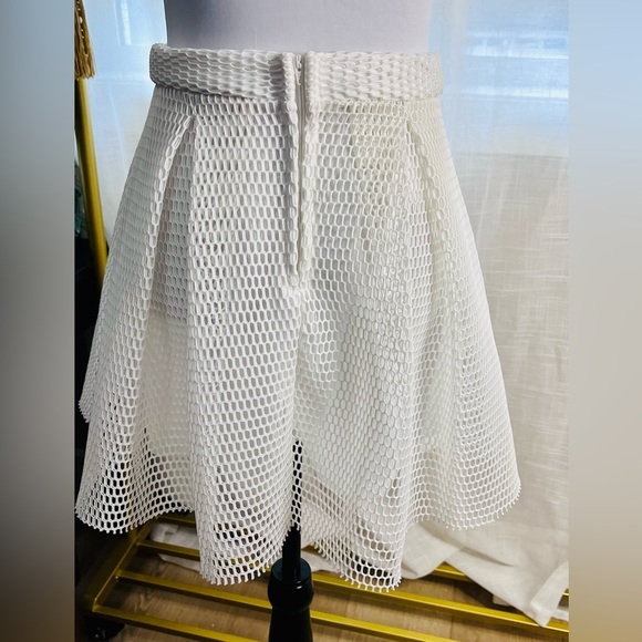NWOT, White Fishnet Short Pleated Skirt by Charlotte Russe, Fully Lined, Size M - Picture 6 of 7